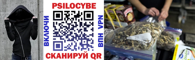 Галлюциногенные грибы Psilocybe  купить наркотик  Пересвет 